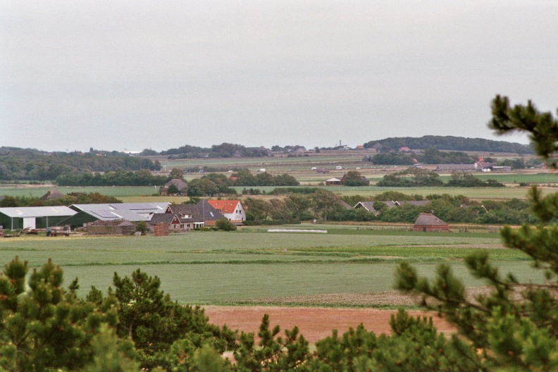 Seen from the Observation tower "Fonteinsnol" in the sanddunes: The landscape Hoge Berg on the island Texel.
Camera: Canon Eos 3000
Film: Fujifilm Superia X-tra 400 ISO
Lens: Tamron AF70-300mm
flickr-m66roepers-36429533941.jpg