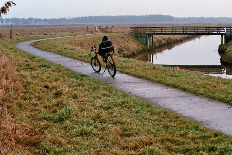 Fietspad door Ae's Woudbloem