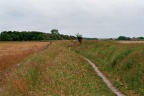 Wandelpad over de Hoge Berg tussen de tuinwallen