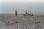 Verschillende zeilschepen van  De Helder Sail op de rede van Texel.