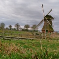 Krimstermolen