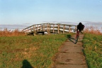 Fietspad en bruggetje bij het Hondshalstermeer