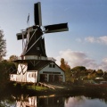 Houtzaagmolen Fram met Daf 33 en Daf 46