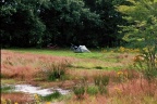 Fietskamperen op landgoedcamping Buiten in Midlaren