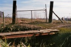 Brug met smalspoor