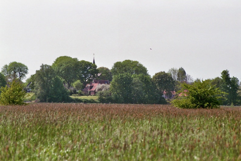 De wierde van Wirdum