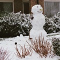 Sneeuwpop / Schneemann / Snowman