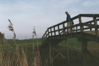 Hoogholtje over het Broekstermaar