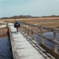 Met de ligfiets over de Slenk op Schiermonnikoog