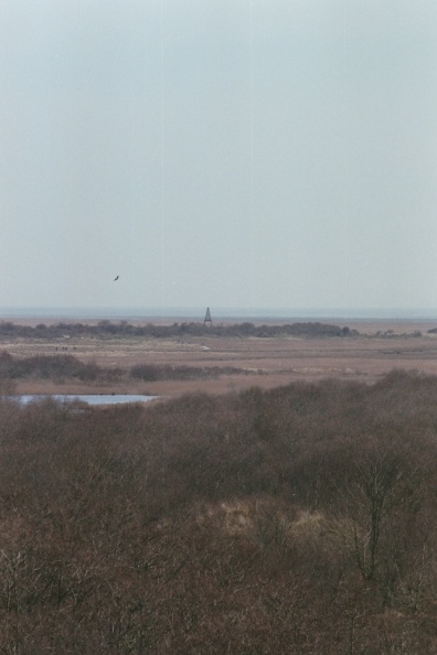 Uitzicht van de Wassermann op de Kobbeduinen