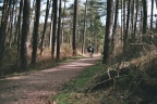 Ligfietsen door het bos van Schiermonnikoog