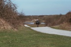 Bij de Westerplas op Schiermonnikoog