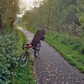 Met de ligfiets op het fietspad langs het Nieuwe Rijpmakanaal