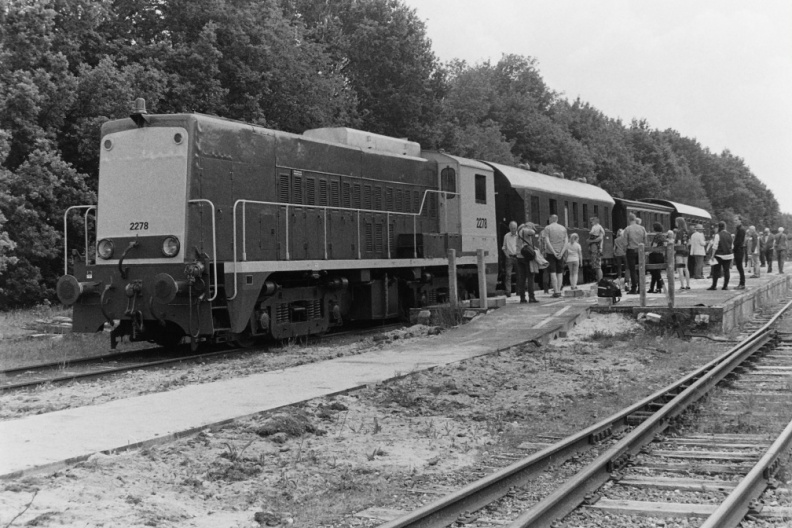 Een trein getrokken door NS 2278 in Nieuw-Buinen dat nu perrons krijgt als laatste halte van de STAR in zuidoostelijke richting. Deze trein reed op de donateursdag.
Camera: Canon EOS 300
Film: Ilford HP5 plus 400
PICT0144.JPG