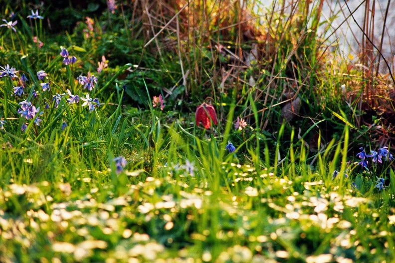 imm003_4.jpg