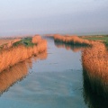 Westerwijtwerdermaar vanaf het hoogholtsje