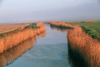 Westerwijtwerdermaar vanaf het hoogholtsje