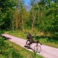 Fietsen door het Dingebos bij Uithuizen