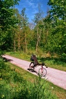 Fietsen door het Dingebos bij Uithuizen