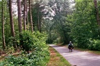 Ligfietsen door het Anthonisbos in De Peel