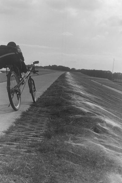 Camera: Zenit 3M
Film: Ilford FP4 plus 125 ISO PICT0390.JPG