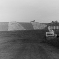 Dijkreliëf  op de Ommelanderdijk bij Noordpolderzijl 